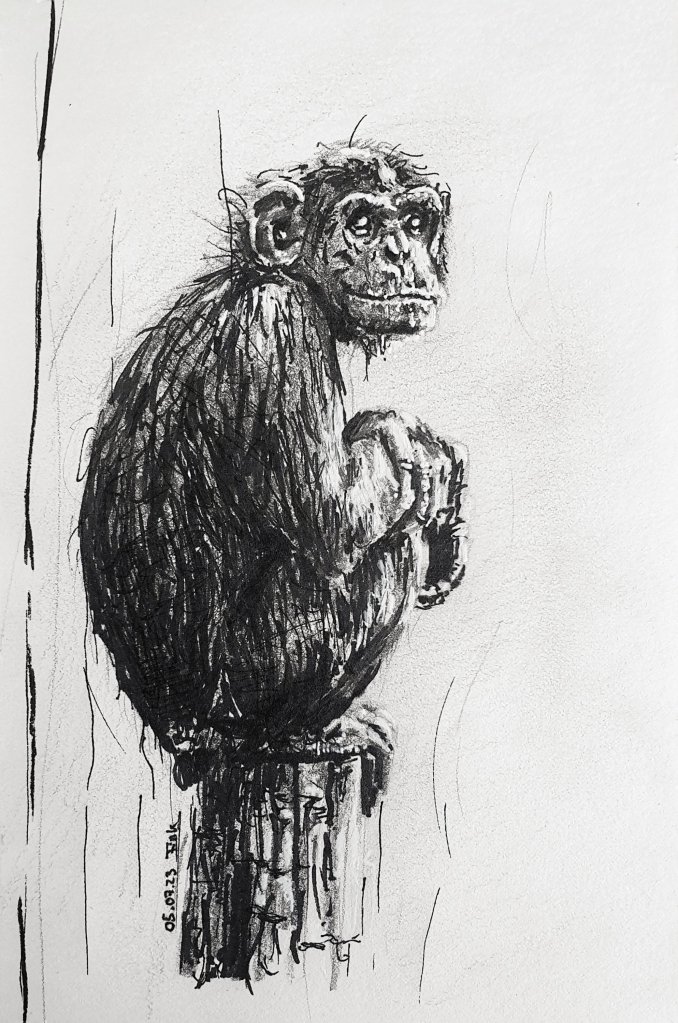 Christina Fink - Art of Finkle - Drawing - Monkey