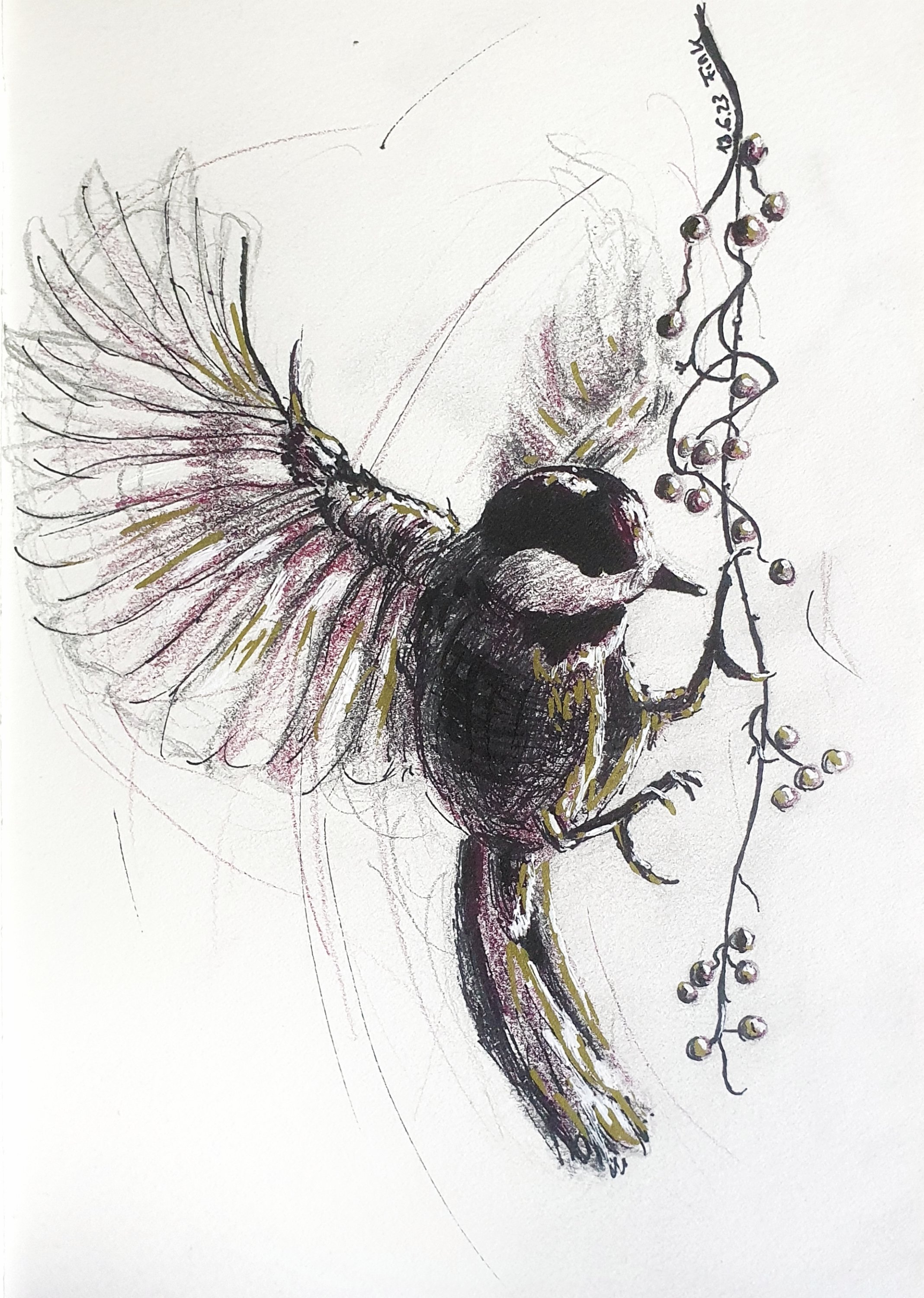 Christina Fink - Art of Finkle - Drawing - Bird