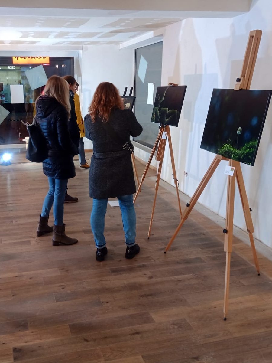 Augenschmaus und Herbstgemüse Ausstellung 2022