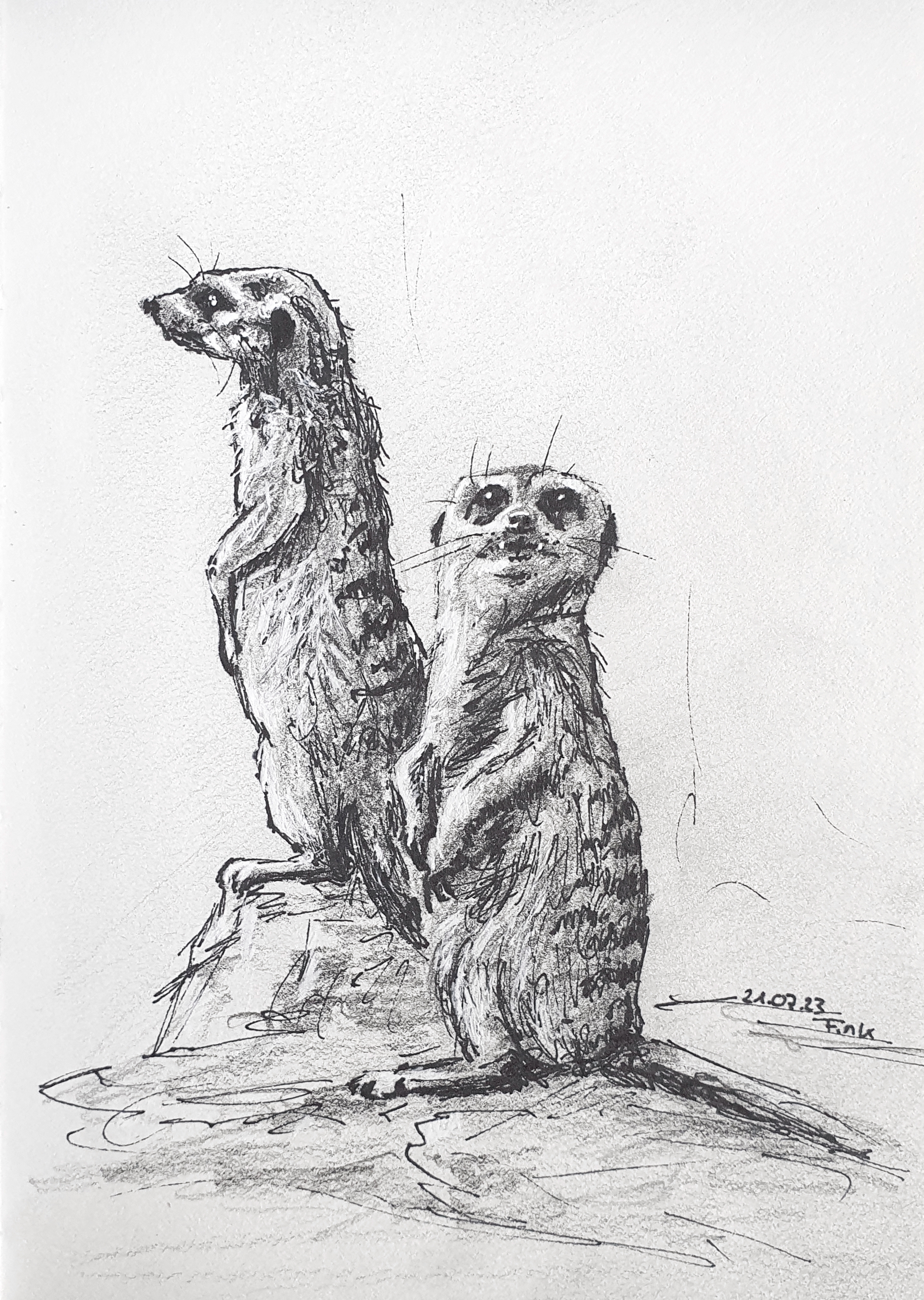 Christina Fink | Art of Finkle | Merkat