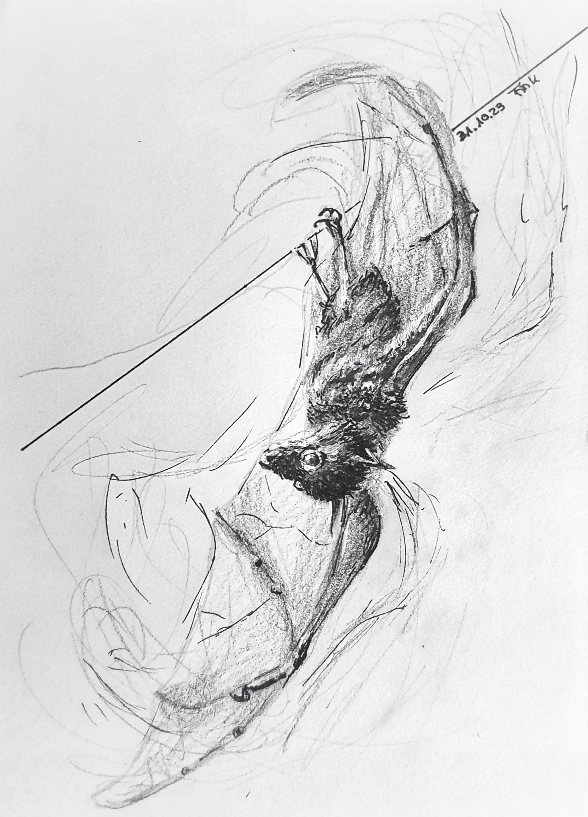 Christina Fink | Art of Finkle | Bat