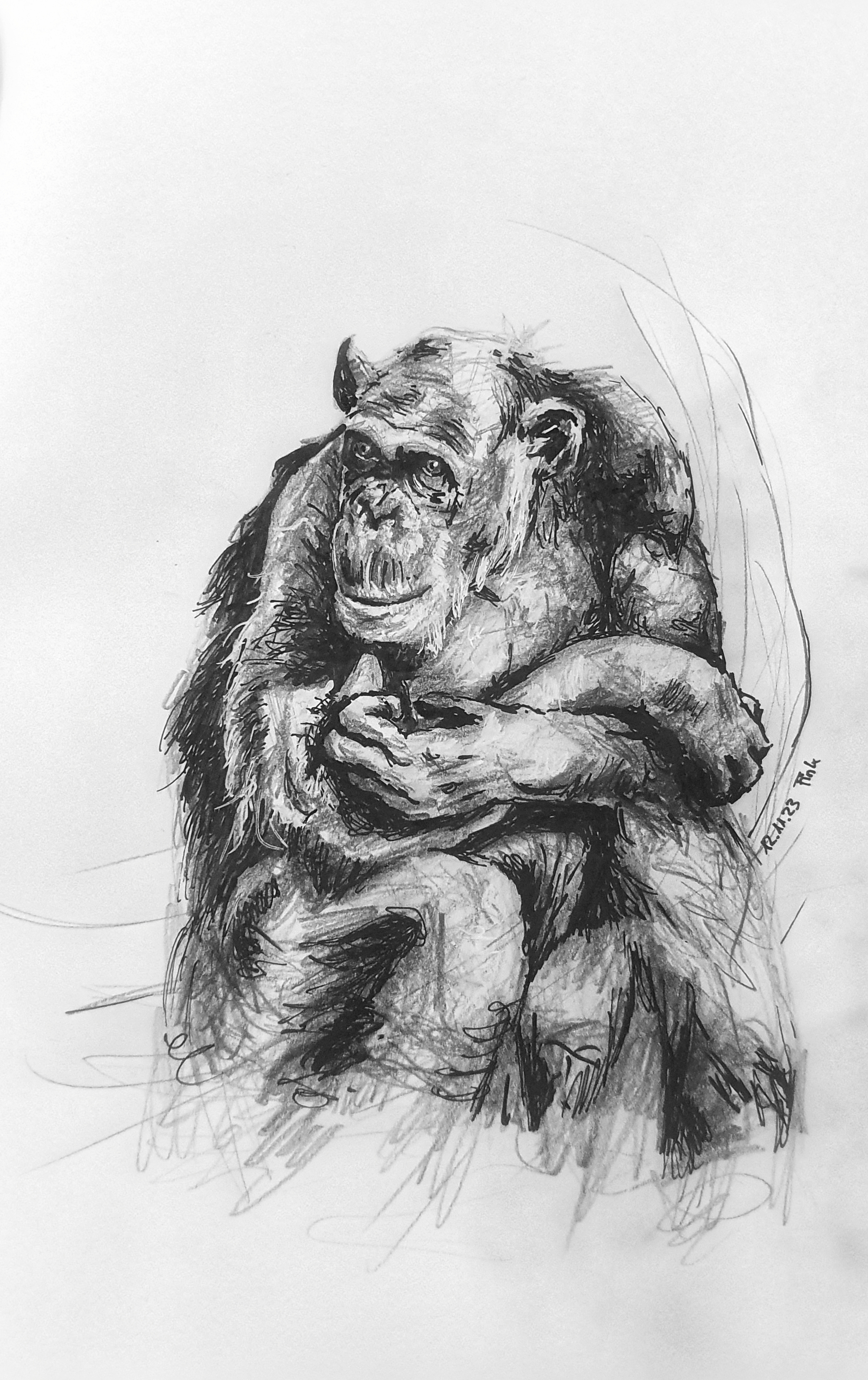 Christina Fink | Art of Finkle | Ape | 2023