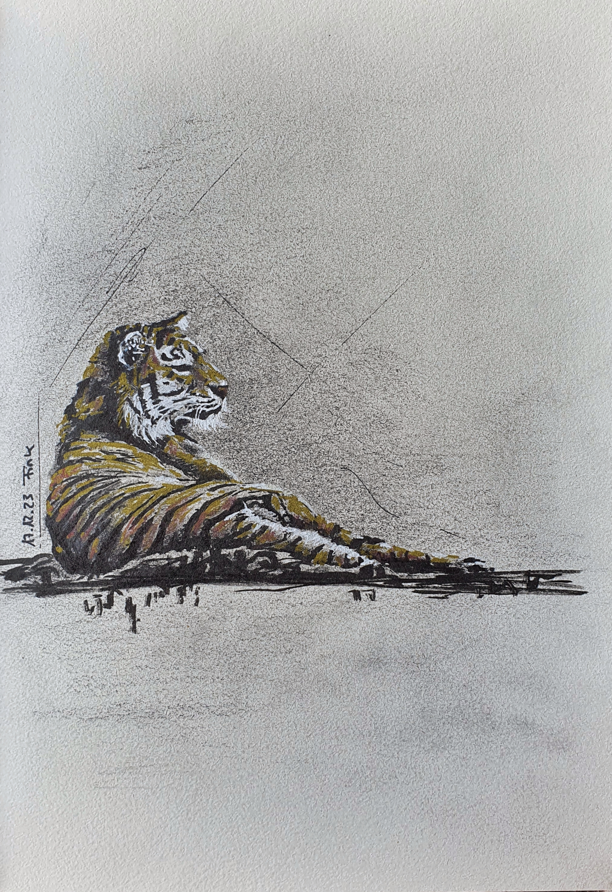 Christina Fink | Art of Finkle | Tiger