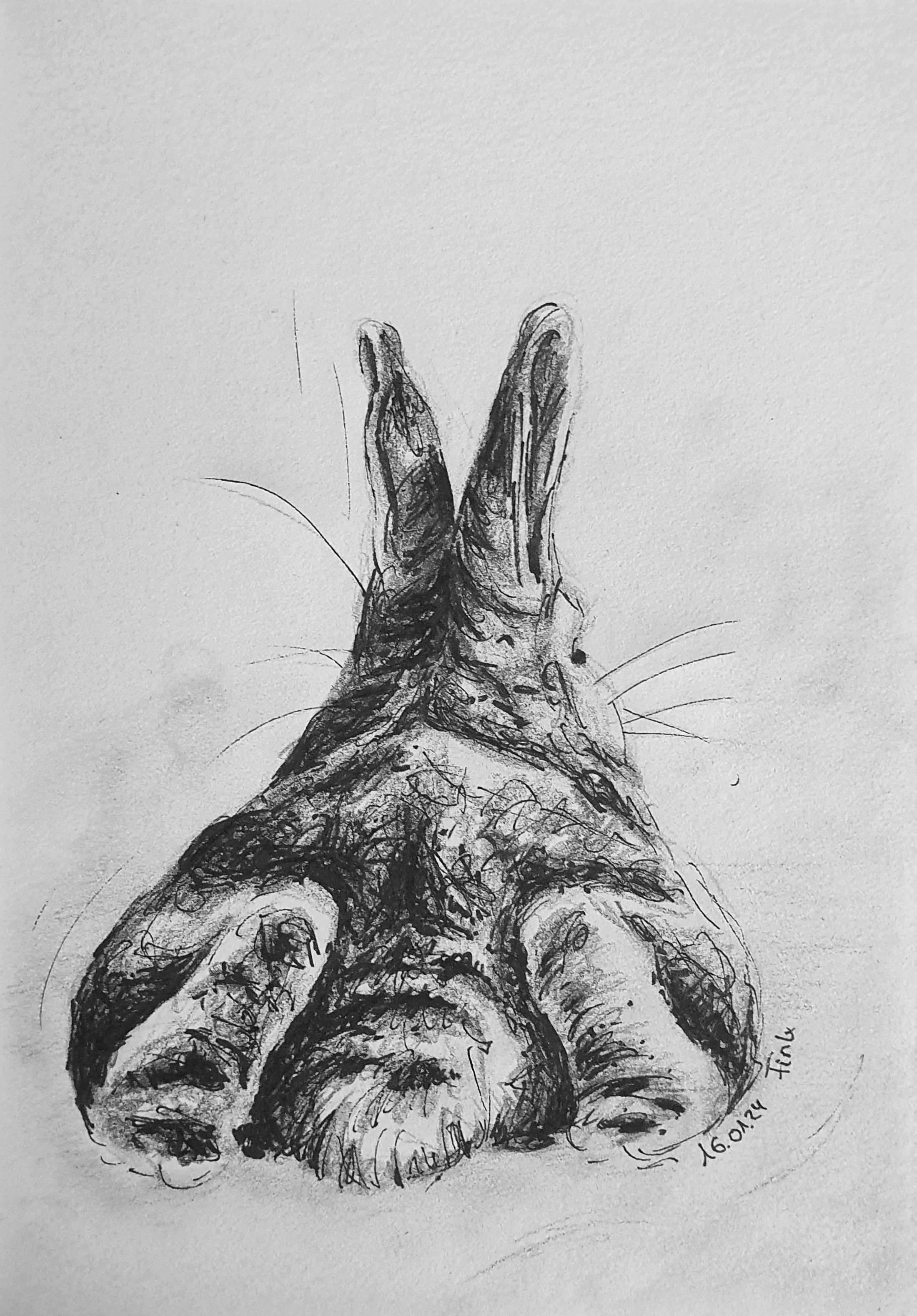 Christina Fink | Art of Finkle | BunnyButt