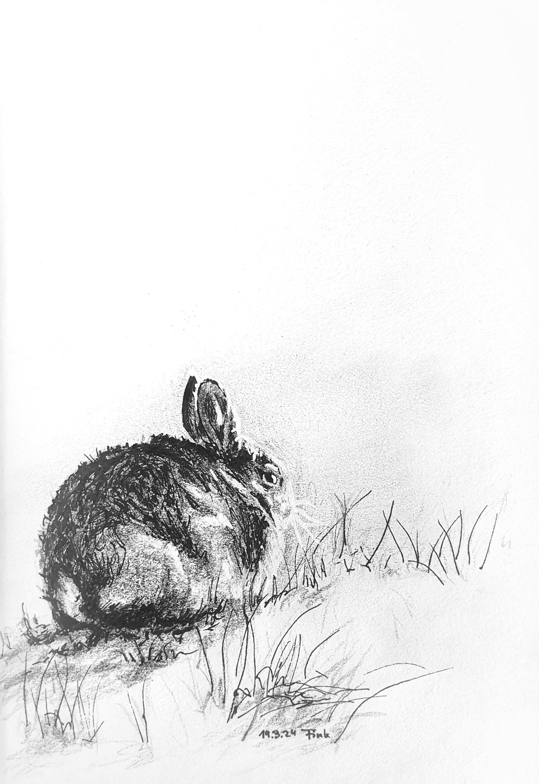 Christina Fink | Art of Finkle | Bunny