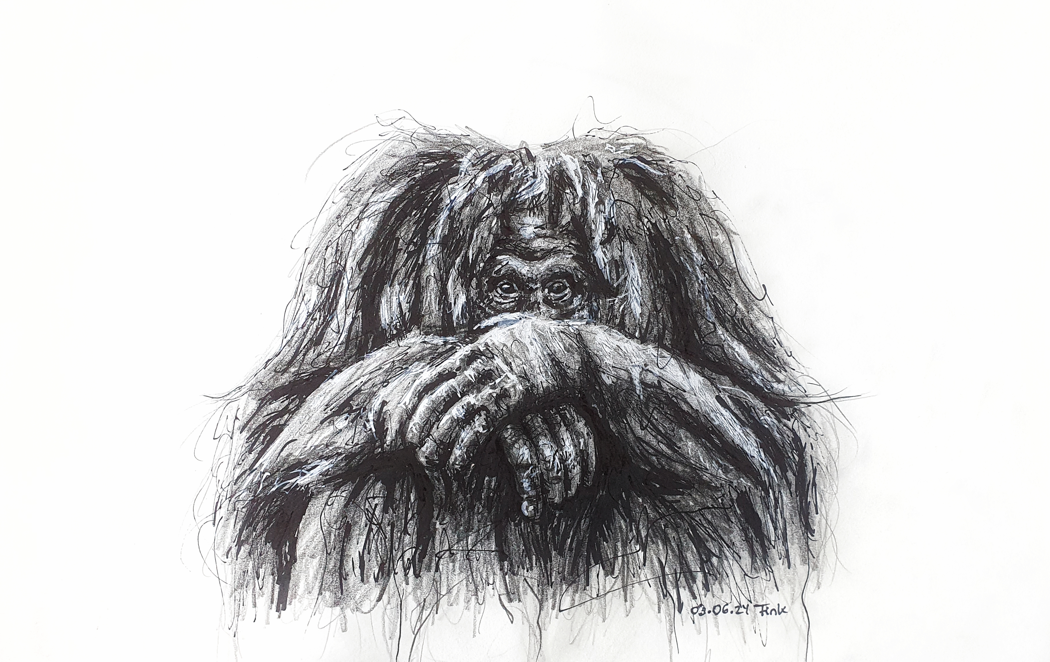 Black and White Drawing of an Orang Utan