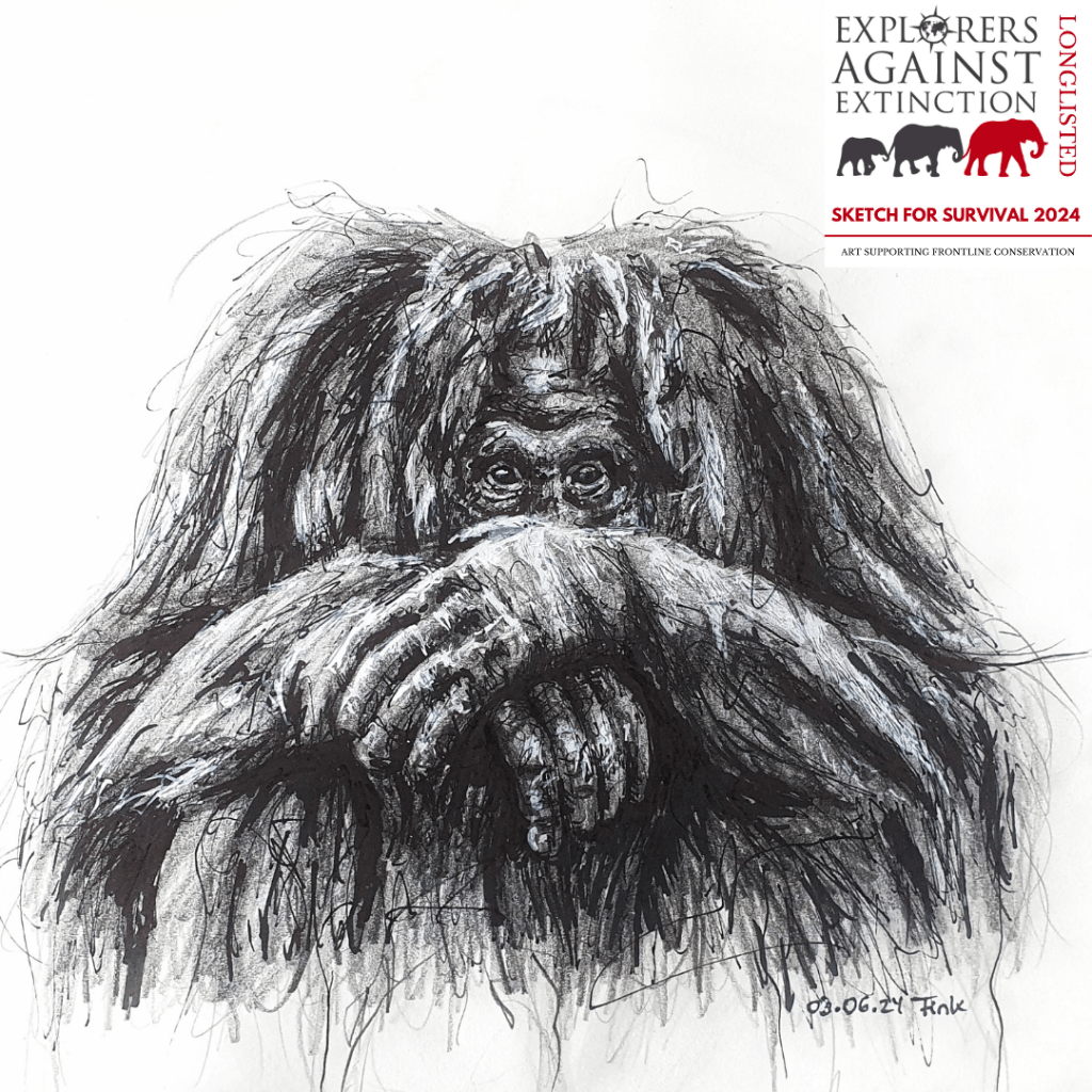 Christina Fink | Art of Finkle | Orang-Utan | Explorers Against Extinction | Sketch For Survival | 2024
