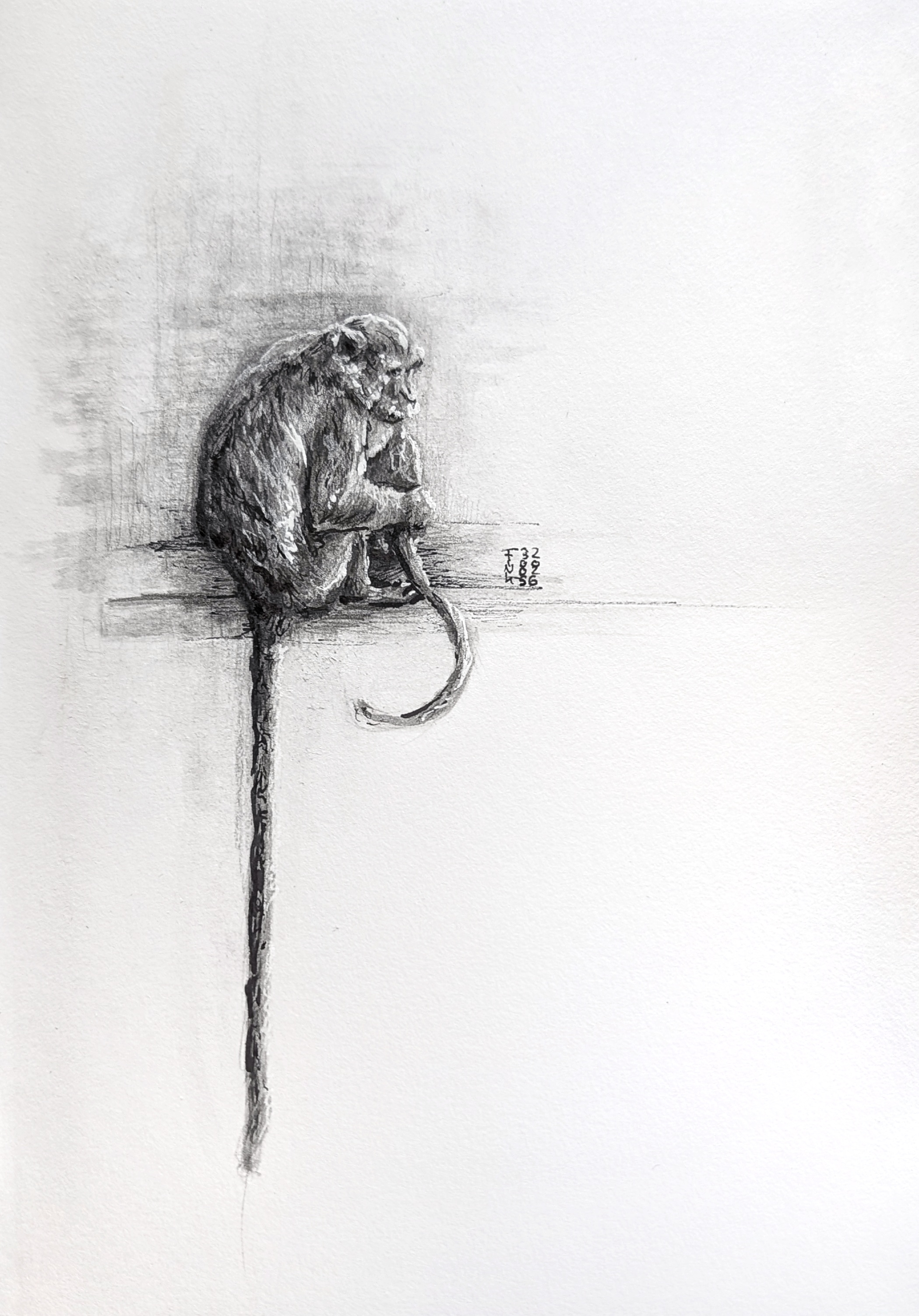 Christina Fink | Art of Finkle | Monkey