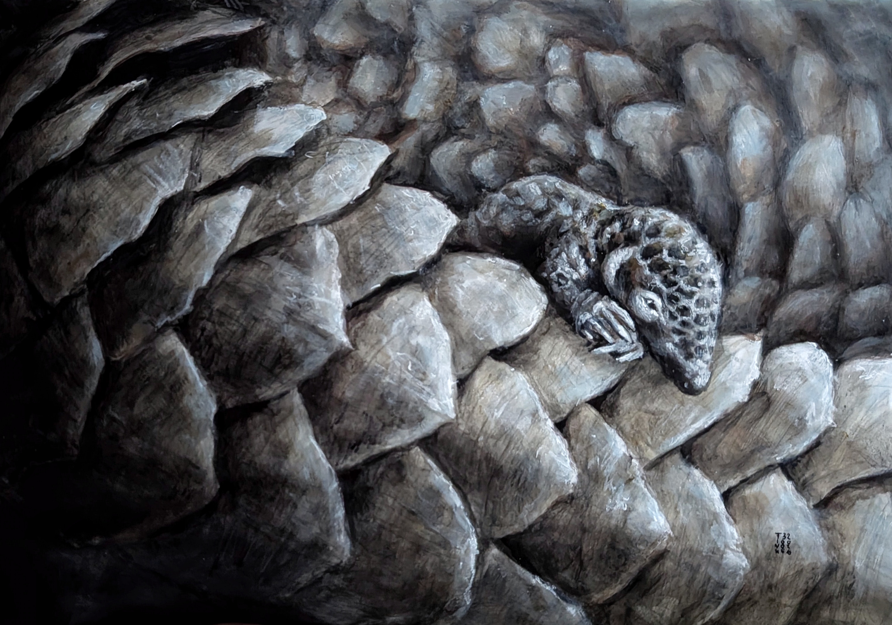 Christina Fink | Art of Finkle | Pangolin