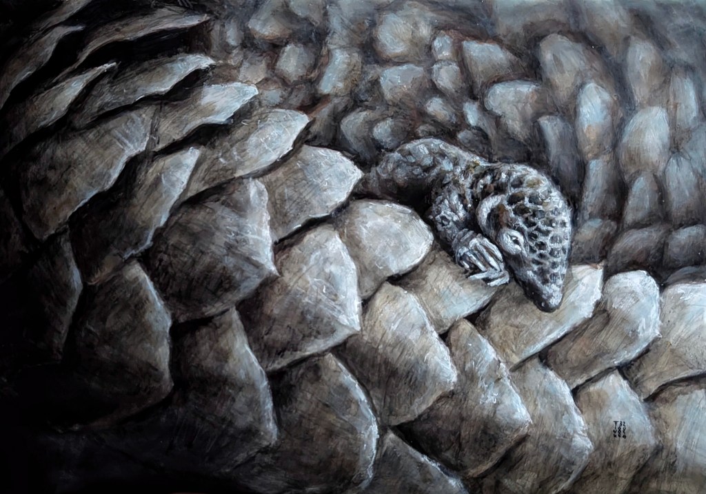 Christina Fink | Art of Finkle | Pangolin