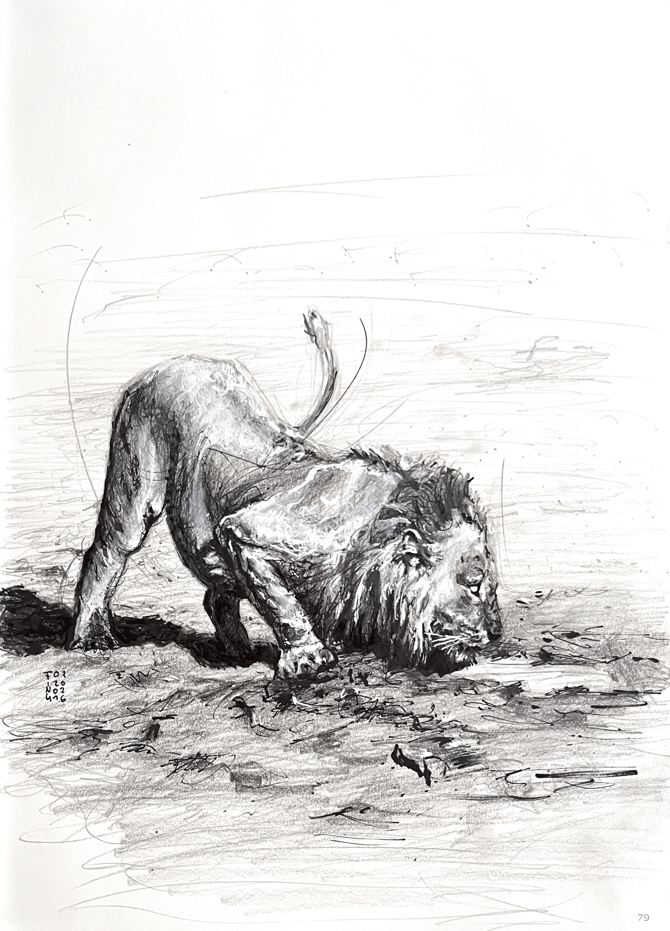 Christina Fink | Art of Finkle | Lion