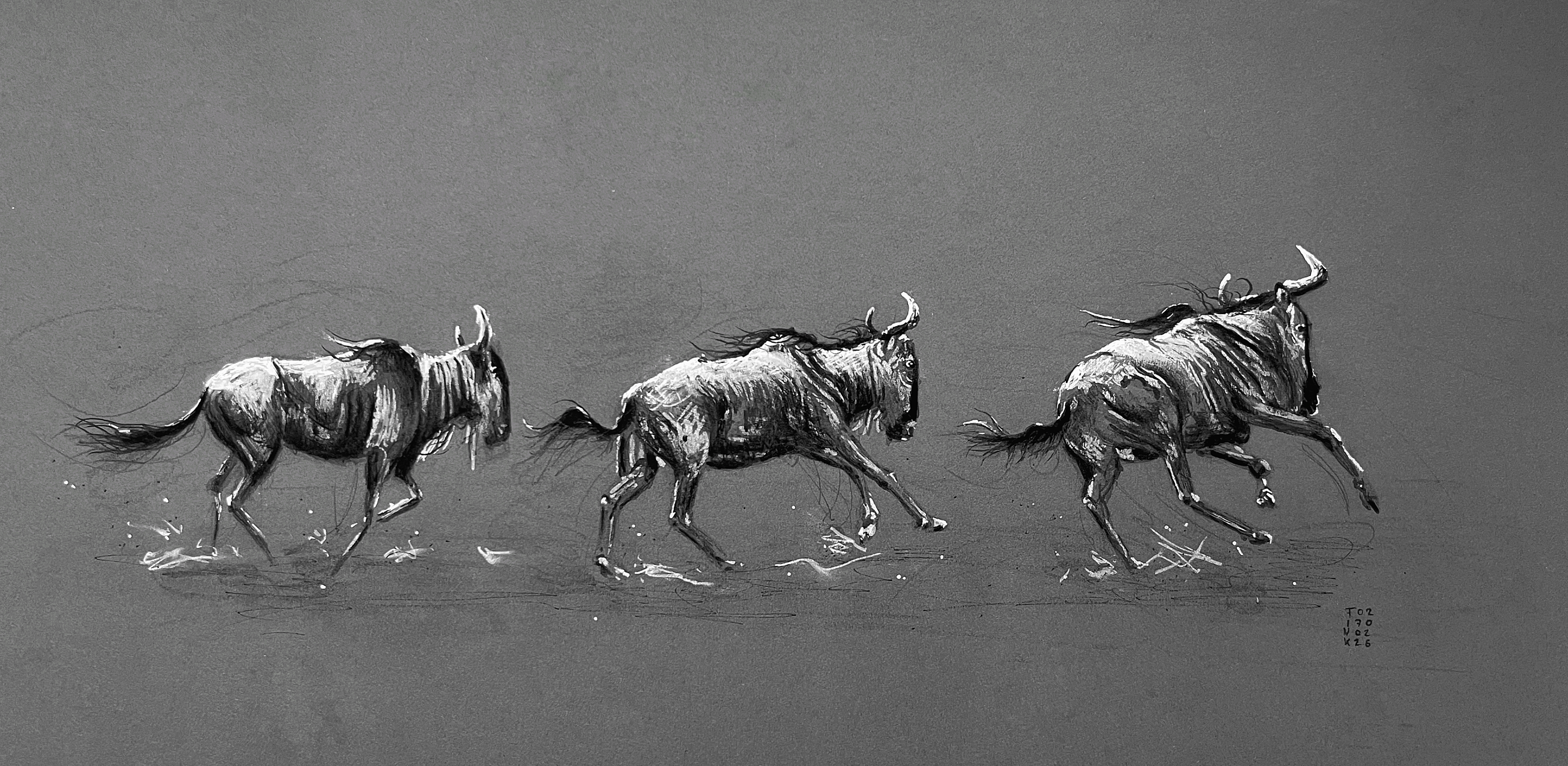 Christina Fink | Art of Finkle | Gnus